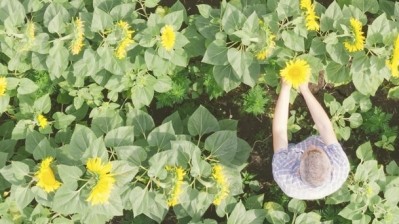 Accelerating organic and regenerative supply chains