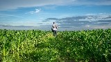 ADM leading in sustainability from seeds to store shelves