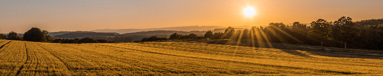 Avoid the Greenwashing Trap: How Food Companies Can Build Trust and Transparency in Regenerative Agriculture