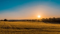 Avoid the Greenwashing Trap: How Food Companies Can Build Trust and Transparency in Regenerative Agriculture