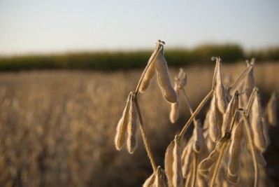Image: Getty/DS70