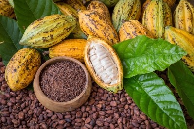 Cocoa trees naturally absorb cadmium from soils via their roots and deposit it in the nibs (centre) of cocoa beans. Pic: As You Sow