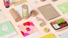 Coming Clean: Sustainable labels for bold brands 