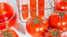 Achieve Operational Excellence in F&B with a Digital Lab
