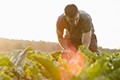 Diana Food: Building an organic ingredient portfolio to meet consumer demand