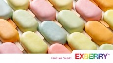 Explore the EXBERRY® Oil Dispersible range