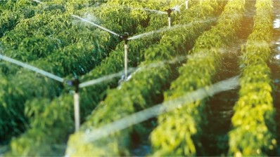 Fermentation nutrients in bio-agriculture for sustainability