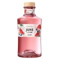 G’Vine launches watermelon gin