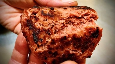 New Zealand alternative protein firm Sustainable Foods is planning a 2021 launch for its hemp-based meat analogues. ©Sustainable Foods