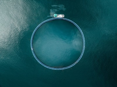The framework helps fisheries become more climate resilient. Image Source: Abstract Aerial Art/Getty Images
