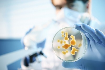 NIZO's Robyn Eijlander discusses how to ensure and control microbial quality when adding novel ingredients or probiotics, or adapting processes. GettyImages/nicolas_