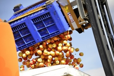 Fruits and vegetables produce low levels of emissions, but have a short shelf-life which researchers claim can be extended with new processing techniques. GettyImages/redstallion