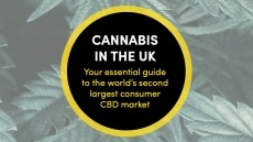 How to Enter UK’s £690M CBD Market