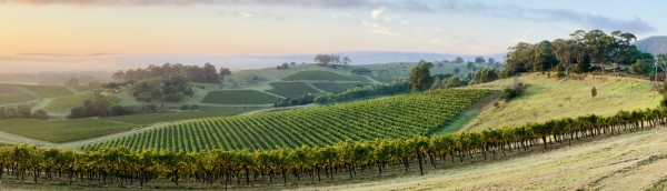hunter valley panorama getty lynnebeclu