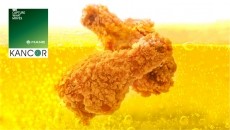 Increase shelf life of Frying Oils