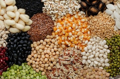 Food makers are reaching further afield for sustainable sources and side streams from which to extract proteins. GettyImages/Nopparat Promtha