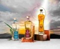 LeBron James-backed tequila brand launches in UK