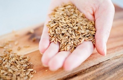 Teijin Group is rolling out BARLEYmax to the European Bakery, Snacks & Cereals market. Pic: Teijin Group