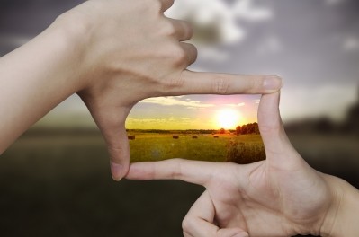 Increased transparency will build trust, boost sustainability and stimulate innovation / Pic: © iStock Grufnar