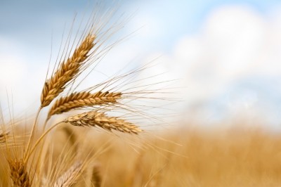 Pic: iStock