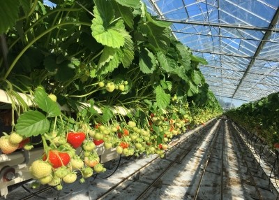 SVZ talks sustainability: ‘Everyone in the F&B industry should think about the next generation’