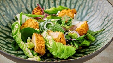 Taste, texture and nutritional attributes of alternative protein products