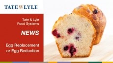 Egg replacement or reduction as development focus