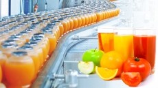 Technologies for processing Fruit & Vegetables