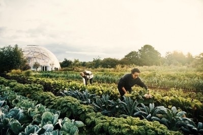The skills of farmers are an important part of the success of regenerative agriculture. Image Source: pixdeluxe/Getty Images