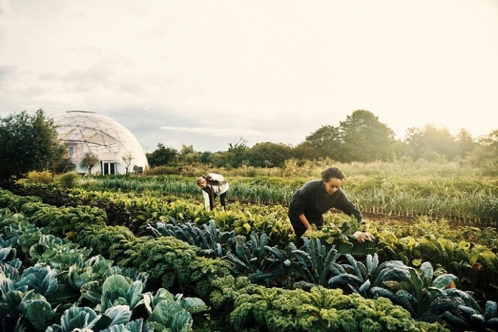 The skills of farmers are an important part of the success of regenerative agriculture. Image Source: pixdeluxe/Getty Images