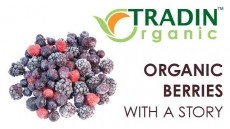 Organic Berries with a Story  