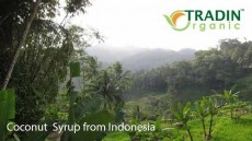 Organic Coconut Sugar Syrup With A Story