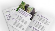 Transparency: Why it's critical to food businesses
