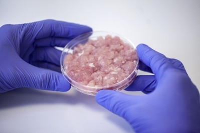 The government have invested £12mn in a hub for the production of sustainable proteins such as cultivated meat. Source: Mindful Media/Getty Images