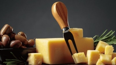 Vegan plant-based cheese taste and nutritional profile with yeast extract