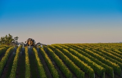 German start-up VineForecast aspires to help grapevine farmers cut down pesticide use by 25%. GettyImages/Esperenza33