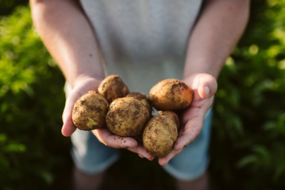 PepsiCo discusses its ESG priorities, from sustainable sourcing to healthier products / Pic: PepsiCo