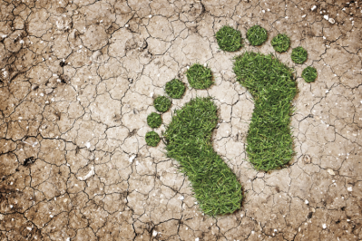 Danone says its energy transition will cut scope 1 & 2 emissions, increase business resilience and boost energy independence / Pic: Getty Images - Hype Photography 