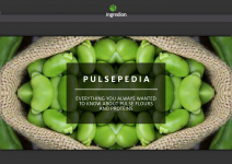 Create clean label products with Pulses