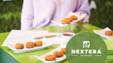 Paving the path for the plant-based transition