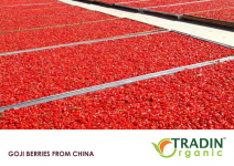 Organic Goji Berries from China