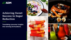 Your roadmap to successful sugar reduction formulation.